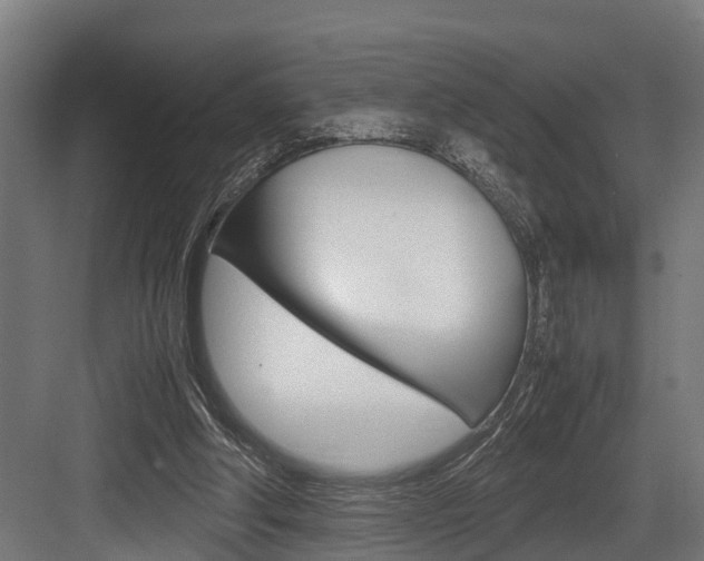 X0000083620202200702120758