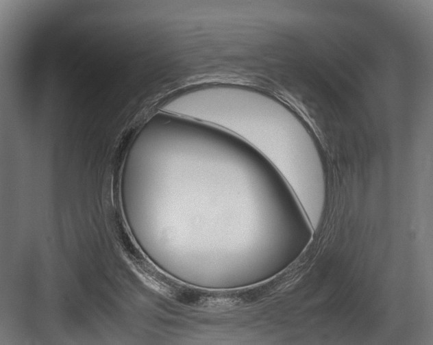 X0000083620205200702120758