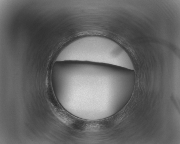 X0000083620206200702120758
