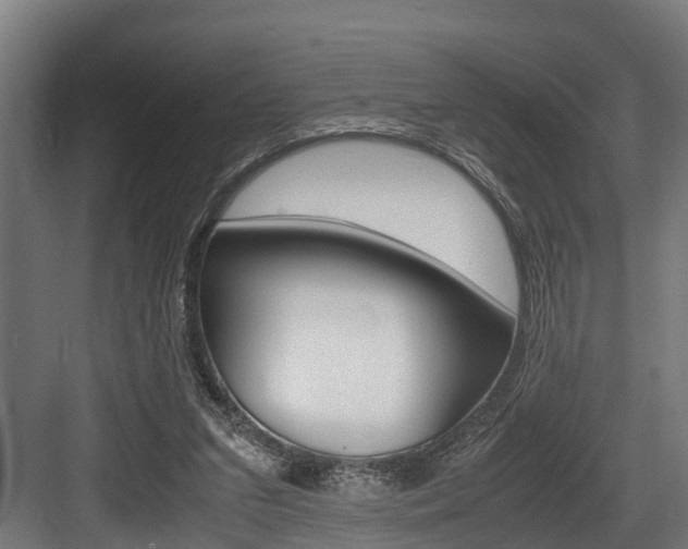 X0000083620207200702120758