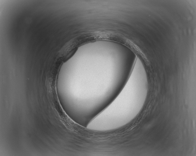 X0000083620209200702120758