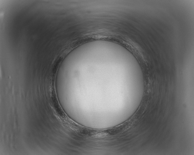 X0000083620210200702120758