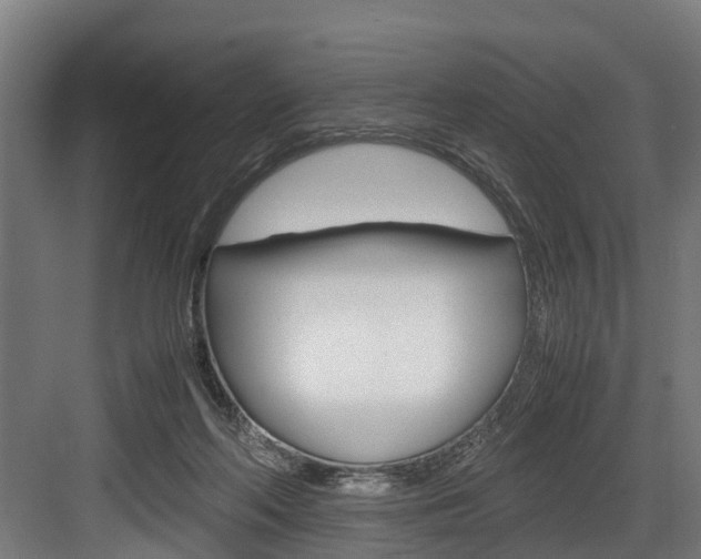 X0000083620214200702120758