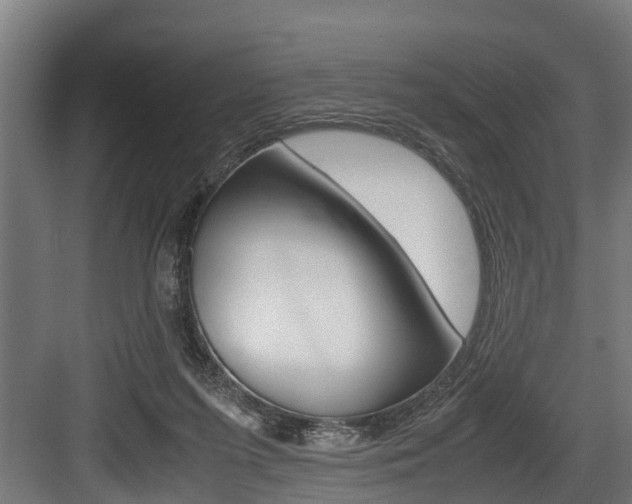 X0000083620215200702120758