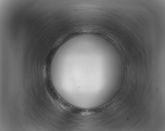 X0000083620216200702120758