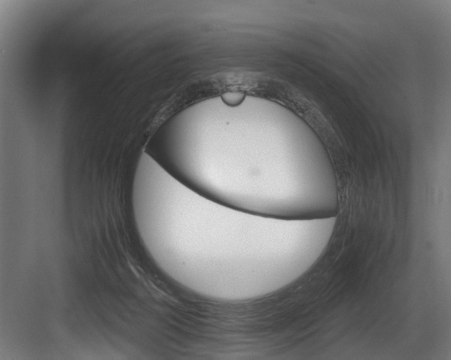 X0000083620218200702120758