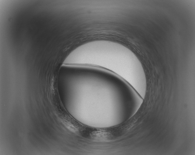 X0000083620219200702120758