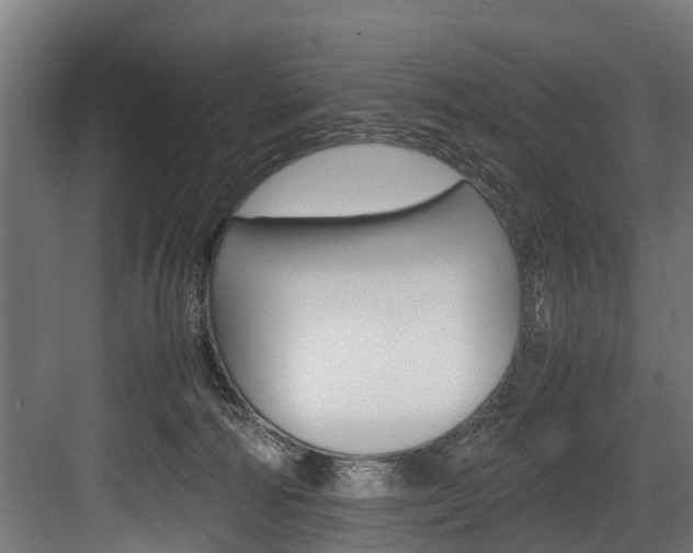 X0000083620226200702120758