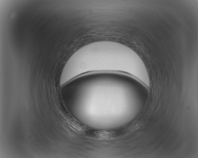 X0000083620229200702120757