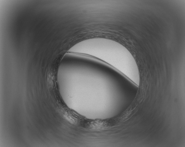 X0000083620235200702120757