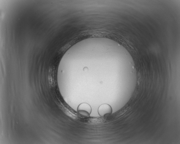 X0000083620238200702120757