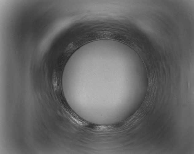 X0000083620239200702120757