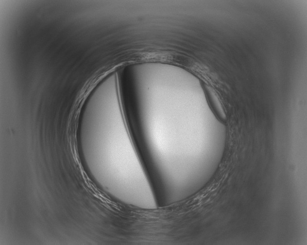 X0000083620241200702120756