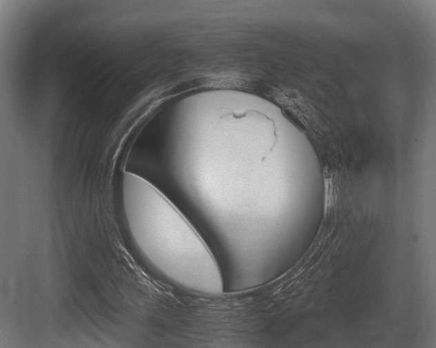 X0000083620243200702120757