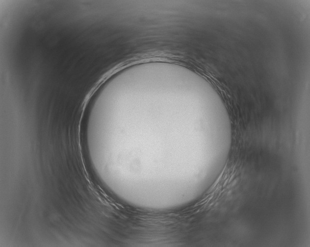 X0000083620244200702120757
