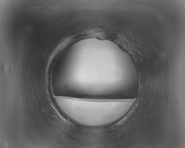 X0000083620245200702120757