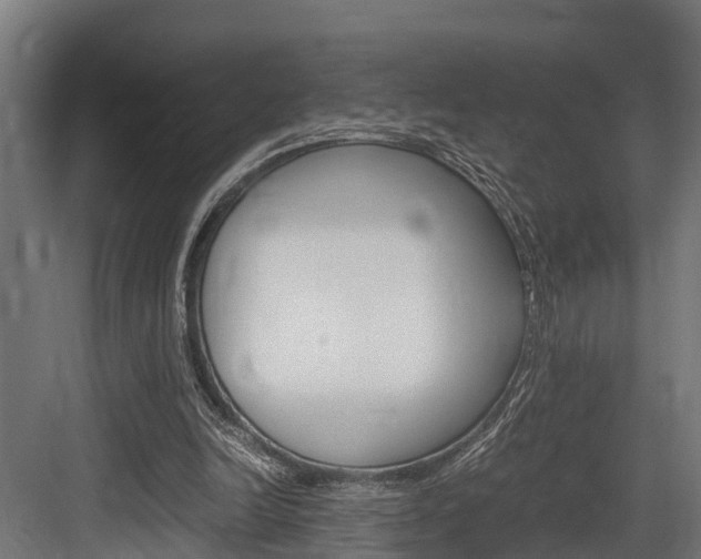 X0000083620246200702120757