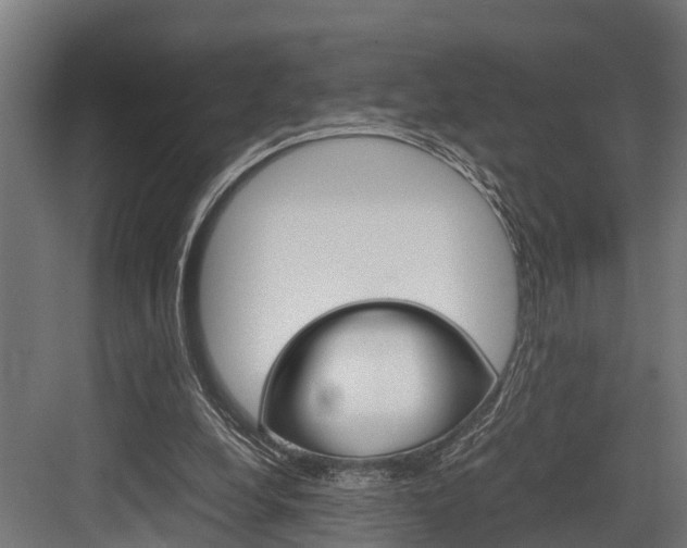 X0000083620248200702120757