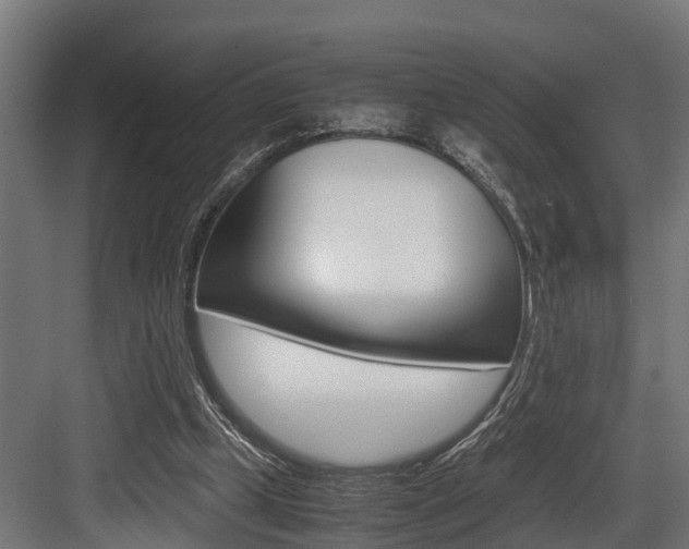 X0000083620249200702120757