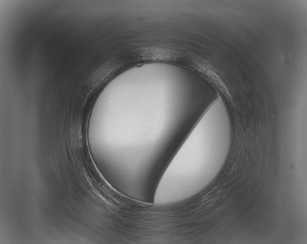 X0000083620251200702120757