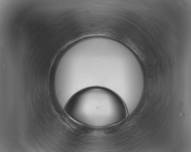X0000083620252200702120757
