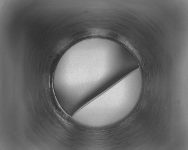 X0000083620253200702120757