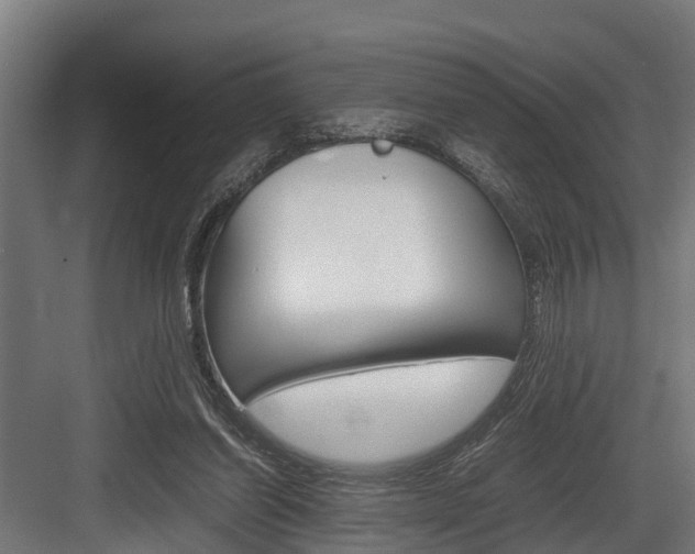 X0000083620254200702120757