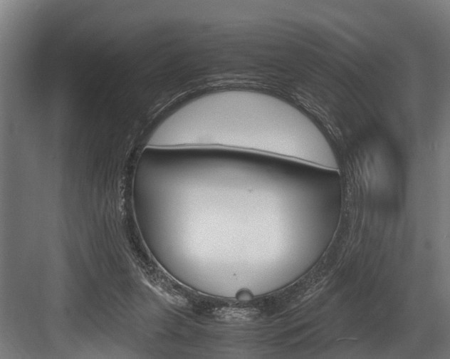 X0000083620255200702120757