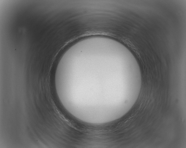 X0000083620256200702120757