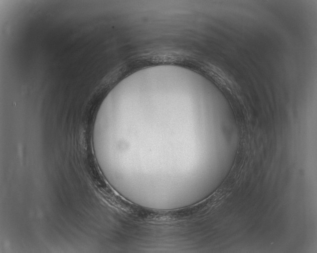 X0000083620258200702120757