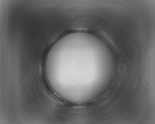 X0000083620259200702120757