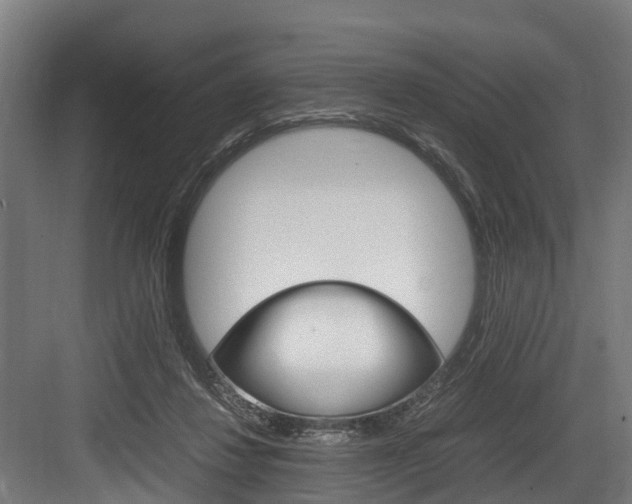 X0000083620260200702120757