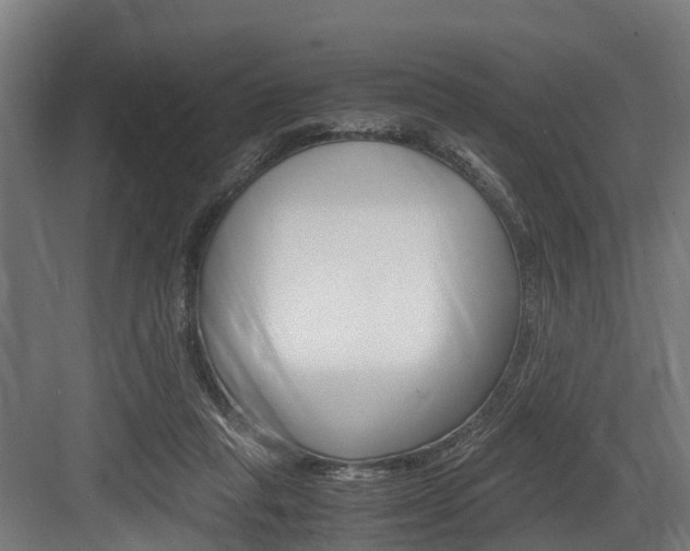 X0000083620261200702120757