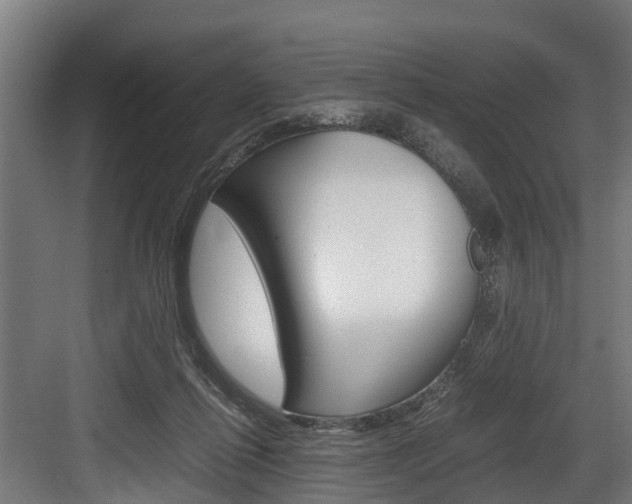 X0000083620262200702120757