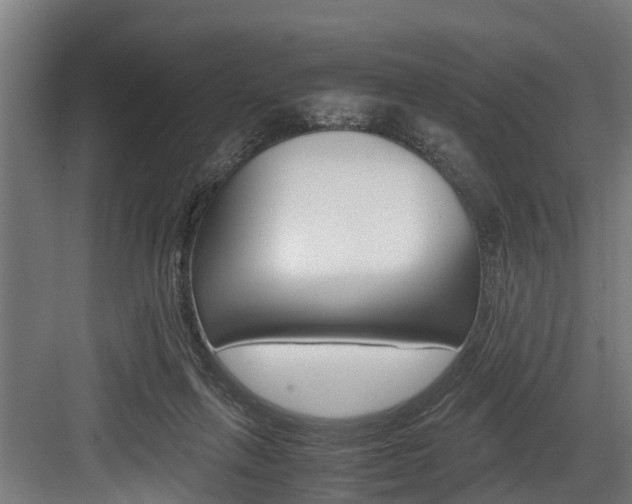 X0000083620263200702120757