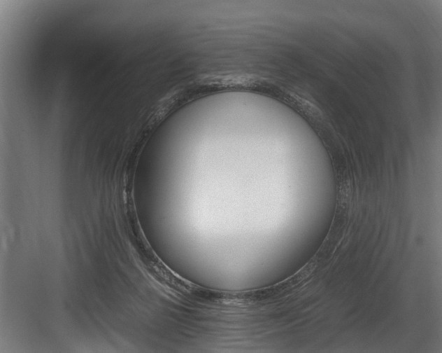 X0000083620264200702120757