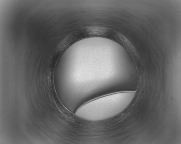 X0000083620265200702120757