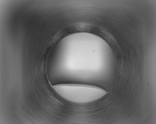 X0000083620266200702120757