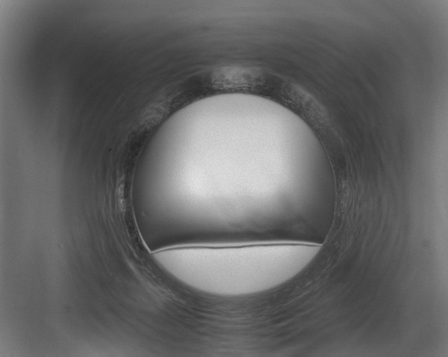 X0000083620267200702120757