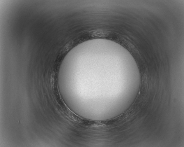 X0000083620271200702120757