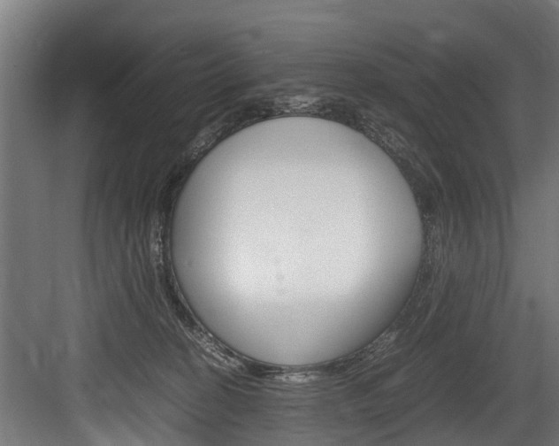 X0000083620274200702120757