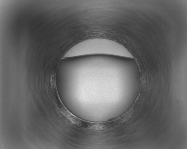 X0000083620276200702120757
