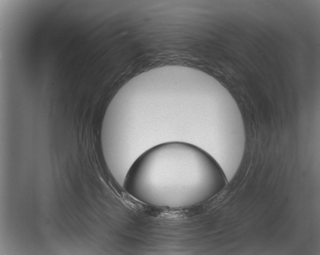 X0000083620280200702120757
