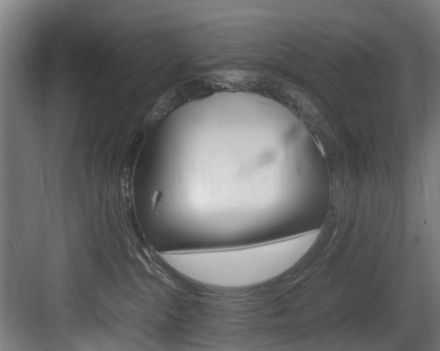 X0000083620284200702120757