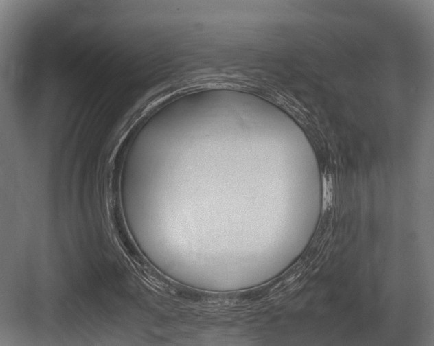 X0000083620291200702120756