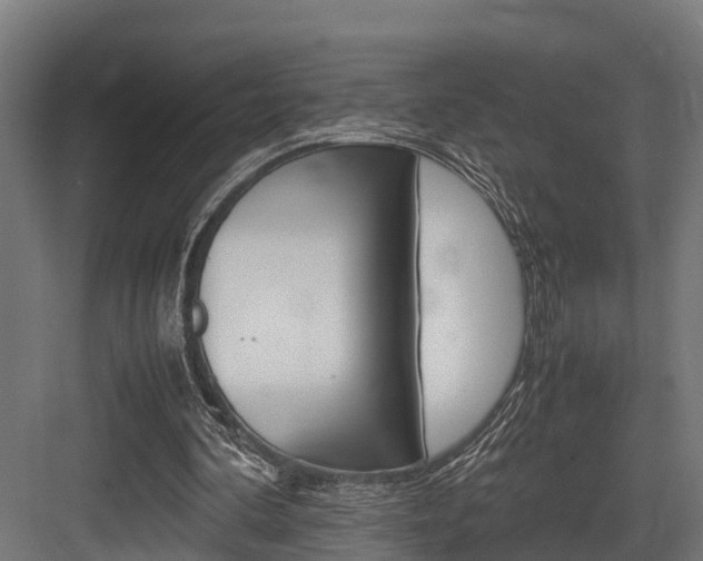 X0000083620292200702120756