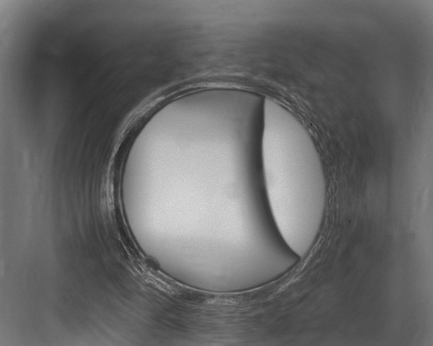 X0000083620294200702120756