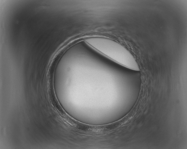 X0000083620295200702120756