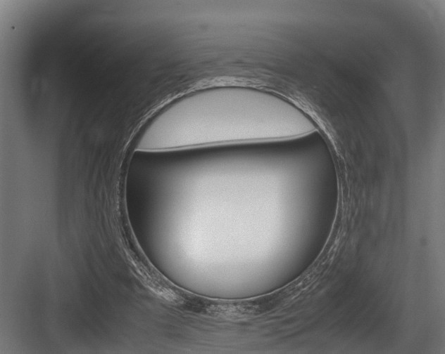 X0000083620297200702120756