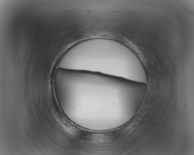 X0000083620298200702120756
